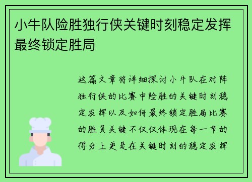 小牛队险胜独行侠关键时刻稳定发挥最终锁定胜局